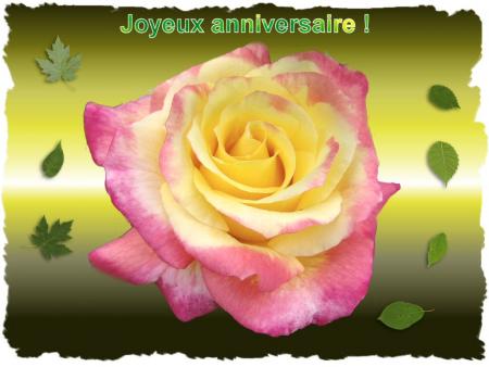 joyeux anniversaire a toi ma poule!!!!!!!!!!!!!