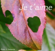 mn bébé