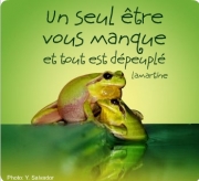 mon bébé