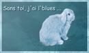 jarriv pas